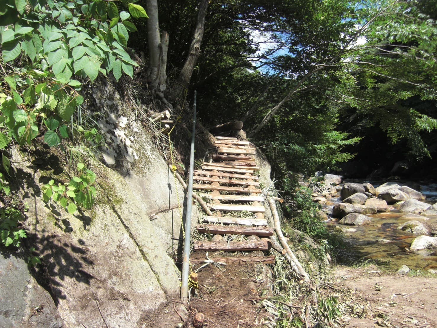 高橋 紗良